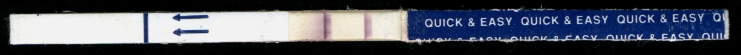 tests_3.jpg (37623 bytes)